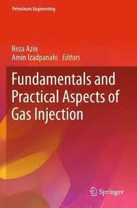 bokomslag Fundamentals and Practical Aspects of Gas Injection