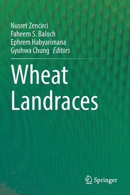 Wheat Landraces 1
