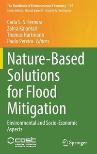 bokomslag Nature-Based Solutions for Flood Mitigation