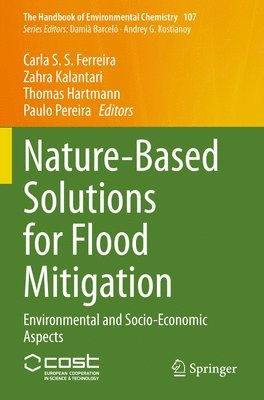 bokomslag Nature-Based Solutions for Flood Mitigation