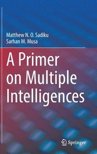 bokomslag A Primer on Multiple Intelligences
