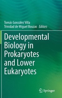 bokomslag Developmental Biology in Prokaryotes and Lower Eukaryotes