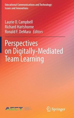 bokomslag Perspectives on Digitally-Mediated Team Learning