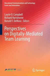 bokomslag Perspectives on Digitally-Mediated Team Learning
