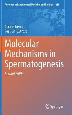 bokomslag Molecular Mechanisms in Spermatogenesis