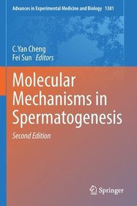 bokomslag Molecular Mechanisms in Spermatogenesis