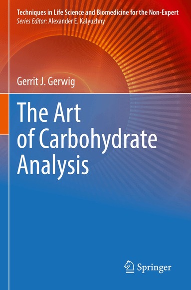 Gerrit J. Gerwig - Art of Carbohydrate Analysis, Häftad