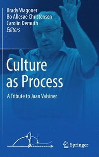 bokomslag Culture as Process