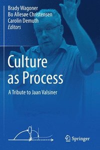 bokomslag Culture as Process
