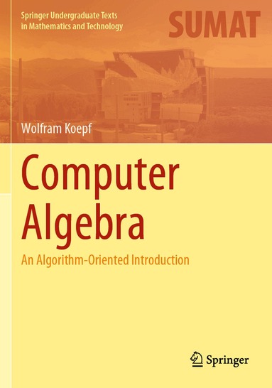 Wolfram Koepf - Computer Algebra, Häftad