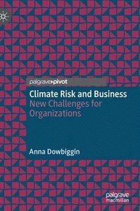 bokomslag Climate Risk and Business