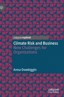 bokomslag Climate Risk and Business