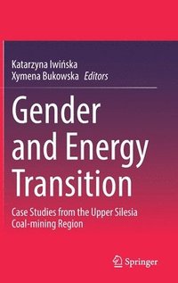 bokomslag Gender and Energy Transition