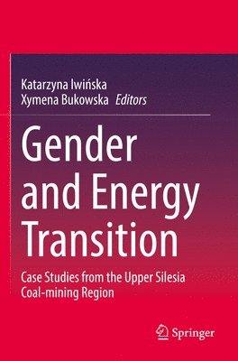 bokomslag Gender and Energy Transition