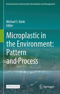 bokomslag Microplastic in the Environment: Pattern and Process