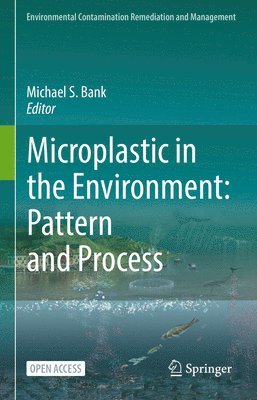 Microplastic in the Environment: Pattern and Process 1