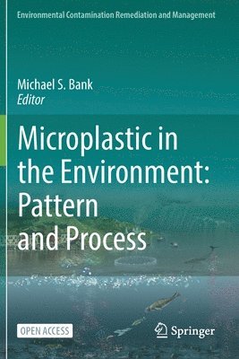 bokomslag Microplastic in the Environment: Pattern and Process