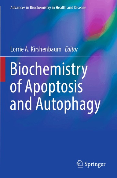 Lorrie A. Kirshenbaum - Biochemistry of Apoptosis and Autophagy, Häftad