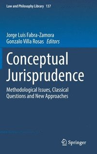 bokomslag Conceptual Jurisprudence