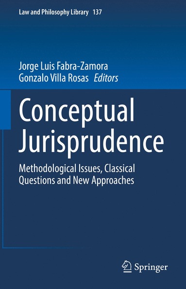 bokomslag Conceptual Jurisprudence