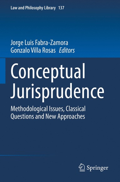 bokomslag Conceptual Jurisprudence