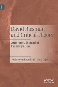 bokomslag David Riesman and Critical Theory