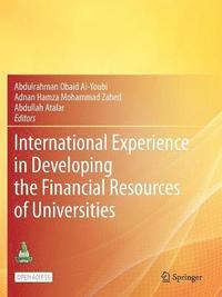 bokomslag International Experience in Developing the Financial Resources of Universities