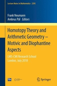 bokomslag Homotopy Theory and Arithmetic Geometry - Motivic and Diophantine Aspects