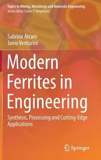 bokomslag Modern Ferrites in Engineering