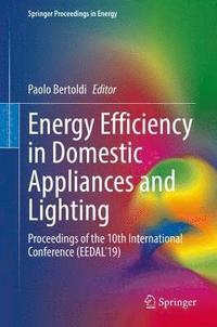 bokomslag Energy Efficiency in Domestic Appliances and Lighting