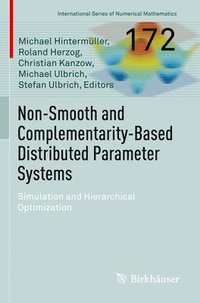 bokomslag Non-Smooth and Complementarity-Based Distributed Parameter Systems