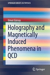 bokomslag Holography and Magnetically Induced Phenomena in QCD