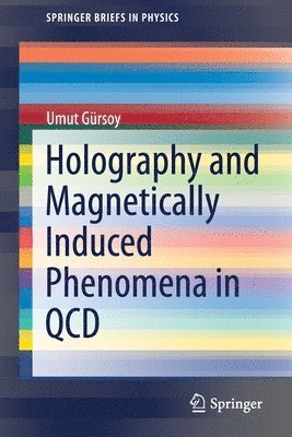 Holography and Magnetically Induced Phenomena in QCD 1
