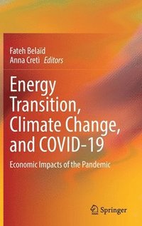 bokomslag Energy Transition, Climate Change, and COVID-19