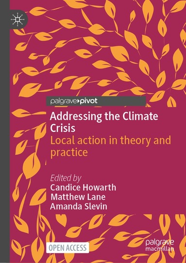 Candice Howarth, Matthew Lane, Amanda Slevin - Addressing the Climate Crisis, Inbunden