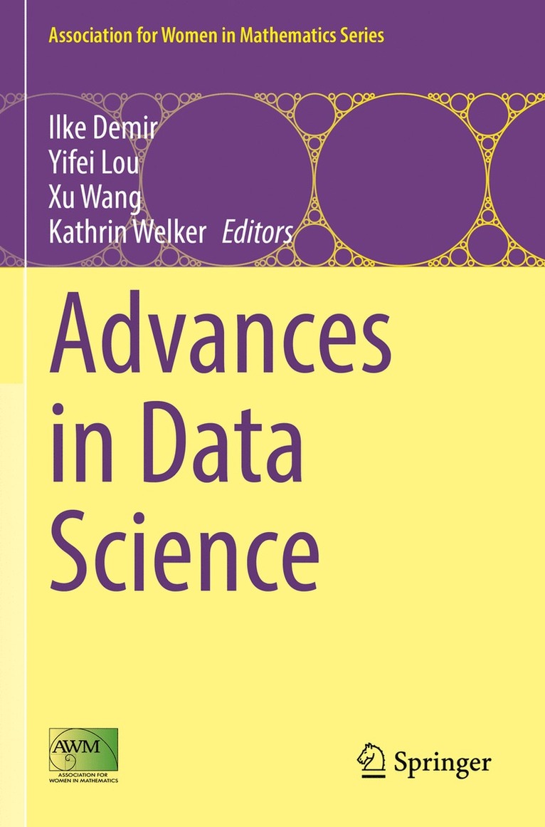 Ilke Demir, Yifei Lou, Xu Wang, Kathrin Welker - Advances in Data Science, Häftad