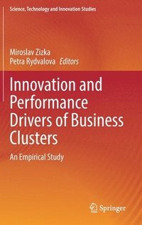 bokomslag Innovation and Performance Drivers of Business Clusters