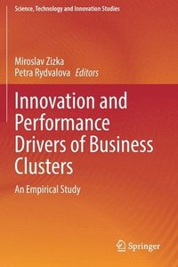 bokomslag Innovation and Performance Drivers of Business Clusters