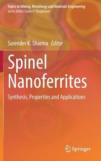 bokomslag Spinel Nanoferrites