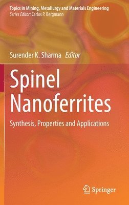 Spinel Nanoferrites
