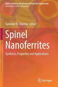 bokomslag Spinel Nanoferrites