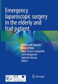 bokomslag Emergency laparoscopic surgery in the elderly and frail patient