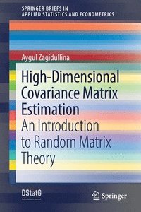 bokomslag High-Dimensional Covariance Matrix Estimation