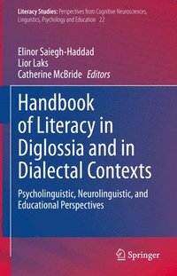 bokomslag Handbook of Literacy in Diglossia and in Dialectal Contexts