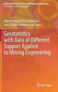 bokomslag Geostatistics with Data of Different Support Applied to Mining Engineering