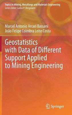 bokomslag Geostatistics with Data of Different Support Applied to Mining Engineering