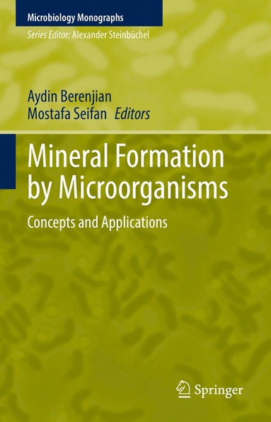 bokomslag Mineral Formation by Microorganisms