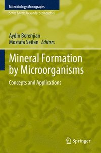 bokomslag Mineral Formation by Microorganisms