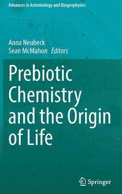 bokomslag Prebiotic Chemistry and the Origin of Life