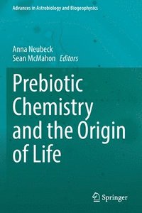 bokomslag Prebiotic Chemistry and the Origin of Life